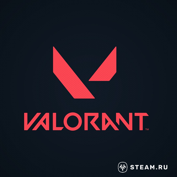 Valorant VP