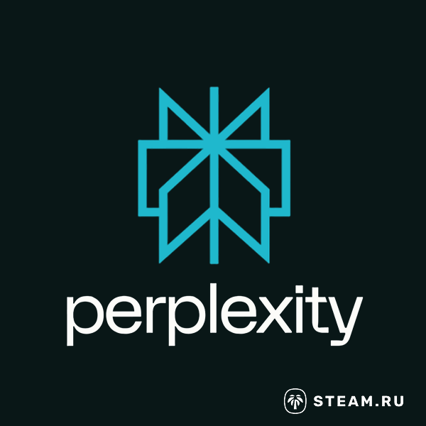 Perplexity